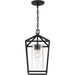 SATCO/NUVO Hopewell 1-Light Hanging Lantern Matte Black Finish With Clear Seeded Glass (60-6594)