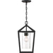 SATCO/NUVO Hopewell 1-Light Hanging Lantern Matte Black Finish With Clear Seeded Glass (60-6594)