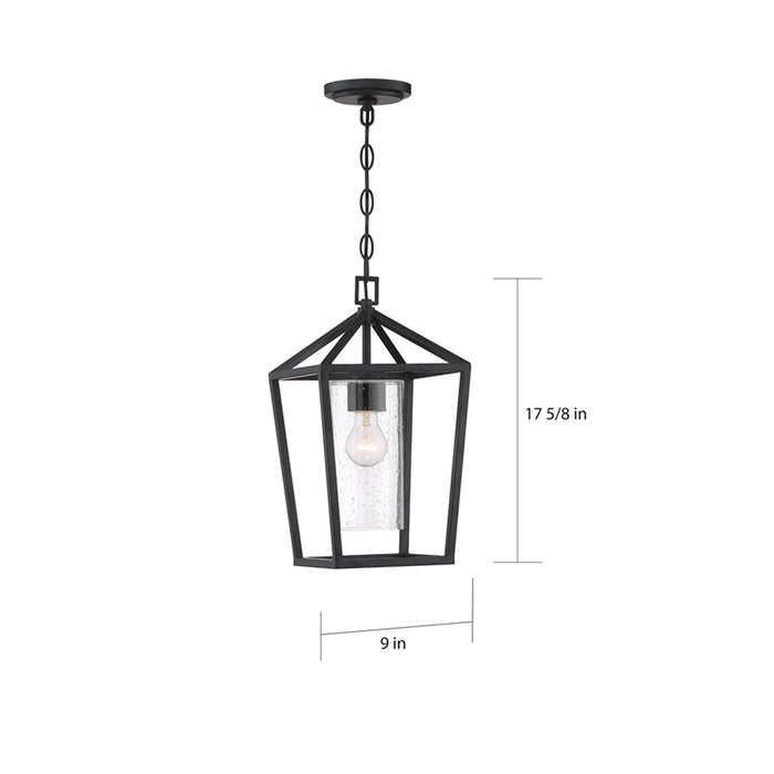 SATCO/NUVO Hopewell 1-Light Hanging Lantern Matte Black Finish With Clear Seeded Glass (60-6594)