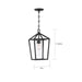 SATCO/NUVO Hopewell 1-Light Hanging Lantern Matte Black Finish With Clear Seeded Glass (60-6594)