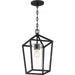 SATCO/NUVO Hopewell 1-Light Hanging Lantern Matte Black Finish With Clear Seeded Glass (60-6594)