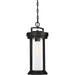 SATCO/NUVO Huron 1-Light Hanging Lantern Aged Bronze Finish With Clear Glass (60-6504)