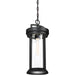 SATCO/NUVO Huron 1-Light Hanging Lantern Aged Bronze Finish With Clear Glass (60-6504)