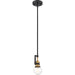 SATCO/NUVO Intention 1-Light Miniature Pendant Fixture Warm Brass And Black Finish (60-6975)