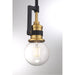 SATCO/NUVO Intention 1-Light Miniature Pendant Fixture Warm Brass And Black Finish (60-6975)