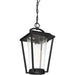 SATCO/NUVO Lakeview 1-Light Hanging Lantern Aged Bronze Finish With Clear Seed Glass (60-6514)