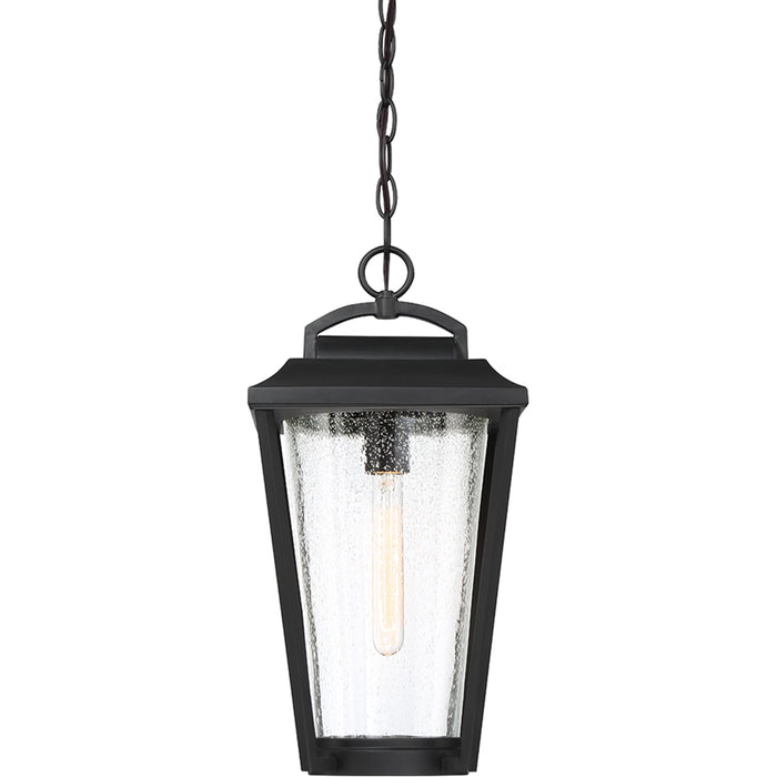 SATCO/NUVO Lakeview 1-Light Hanging Lantern Aged Bronze Finish With Clear Seed Glass (60-6514)