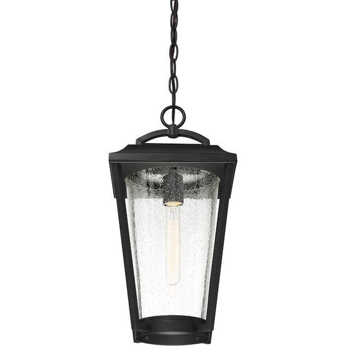 SATCO/NUVO Lakeview 1-Light Hanging Lantern Aged Bronze Finish With Clear Seed Glass (60-6514)