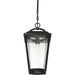 SATCO/NUVO Lakeview 1-Light Hanging Lantern Aged Bronze Finish With Clear Seed Glass (60-6514)