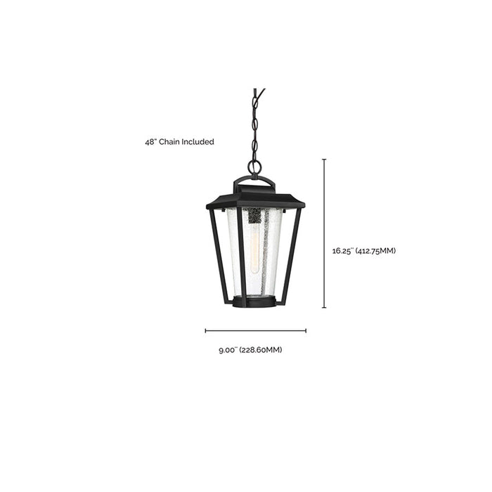 SATCO/NUVO Lakeview 1-Light Hanging Lantern Aged Bronze Finish With Clear Seed Glass (60-6514)