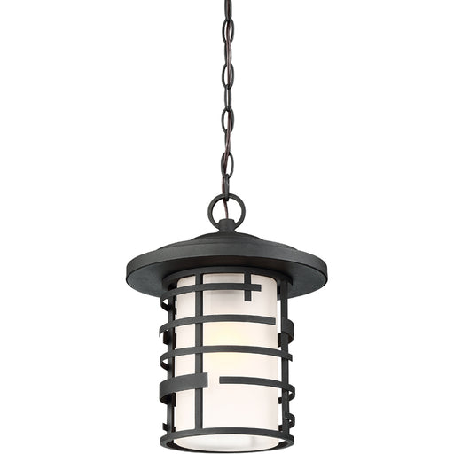 SATCO/NUVO Lansing 1-Light Outdoor Hanging Lantern With Etched Glass (60-6405)