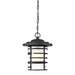 SATCO/NUVO Lansing 1-Light Outdoor Hanging Lantern With Etched Glass (60-6405)