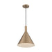 SATCO/NUVO Lightcap 1-Light Large Pendant Fixture Burnished Brass Finish (60-7118)