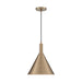 SATCO/NUVO Lightcap 1-Light Large Pendant Fixture Burnished Brass Finish (60-7118)