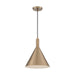 SATCO/NUVO Lightcap 1-Light Large Pendant Fixture Burnished Brass Finish (60-7118)