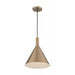 SATCO/NUVO Lightcap 1-Light Large Pendant Fixture Burnished Brass Finish (60-7118)