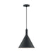 SATCO/NUVO Lightcap 1-Light Large Pendant Fixture Matte Black Finish (60-7128)