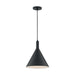 SATCO/NUVO Lightcap 1-Light Large Pendant Fixture Matte Black Finish (60-7128)