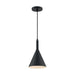 SATCO/NUVO Lightcap 1-Light Small Pendant Fixture Matte Black Finish (60-7127)