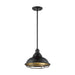 SATCO/NUVO Newbridge 1-Light Large Pendant Fixture Dark Bronze Finish With Gold Accents (60-7014)