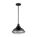 SATCO/NUVO Newbridge 1-Light Large Pendant Fixture Gloss Black Finish With Silver And Textured Black Accents (60-7004)