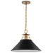 SATCO/NUVO Outpost 1-Light Large Pendant Matte Black With Burnished Brass (60-7525)