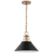 SATCO/NUVO Outpost 1-Light Medium Pendant Matte Black With Burnished Brass (60-7523)