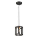 SATCO/NUVO Payne 1-Light Miniature Pendant With Clear Beveled Glass (60-6412)