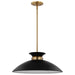 SATCO/NUVO Perkins 1-Light Medium Pendant Matte Black With Burnished Brass (60-7461)