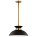 SATCO/NUVO Perkins 1-Light Small Pendant Matte Black With Burnished Brass (60-7460)