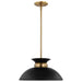SATCO/NUVO Perkins 1-Light Small Pendant Matte Black With Burnished Brass (60-7460)