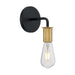 SATCO/NUVO Ryder 1-Light Wall Sconce Fixture Black Finish With Brushed Brass Sockets (60-7341)