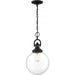 SATCO/NUVO Skyloft 1-Light Pendant Fixture Aged Bronze Finish With Clear Glass (60-6673)