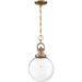 SATCO/NUVO Skyloft 1-Light Pendant Fixture Burnished Brass Finish With Clear Glass (60-6671)