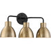SATCO/NUVO Sloan 3-Light Vanity Matte Black And Burnished Brass Finish (60-6793)