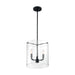 SATCO/NUVO Sommerset 3-Light Pendant Fixture Matte Black Finish With Clear Glass (60-7277)