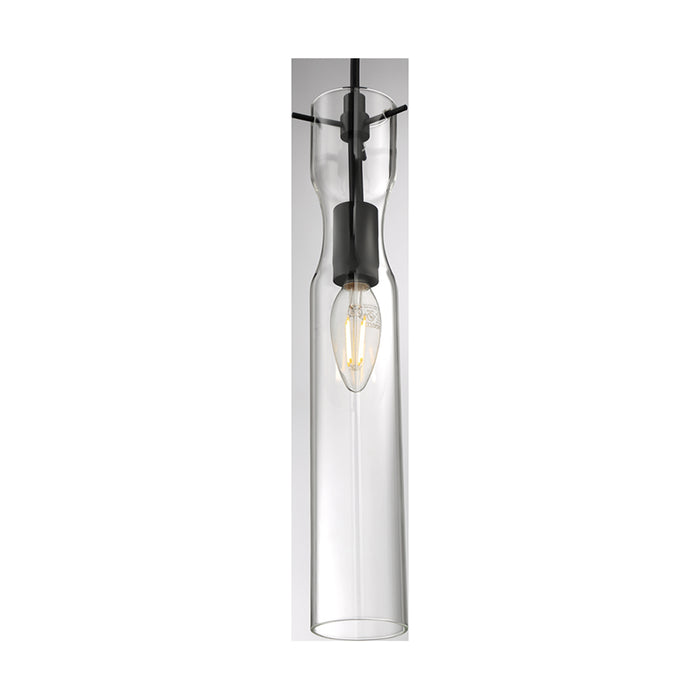 SATCO/NUVO Spyglass 1-Light Mini Pendant Fixture Black Finish With Clear Glass (60-6876)