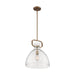 SATCO/NUVO Teresa 1-Light Bell Pendant Fixture Burnished Brass Finish With Clear Glass (60-7142)