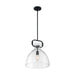 SATCO/NUVO Teresa 1-Light Bell Pendant Fixture Matte Black Finish With Clear Glass (60-7152)