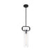 SATCO/NUVO Teresa 1-Light Cylinder Pendant Fixture Matte Black Finish With Clear Glass (60-7153)