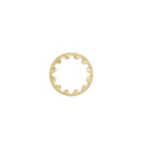 SATCO/NUVO Toothwasher 1/4 IP Slip Brass Plated Finish (90-1580)