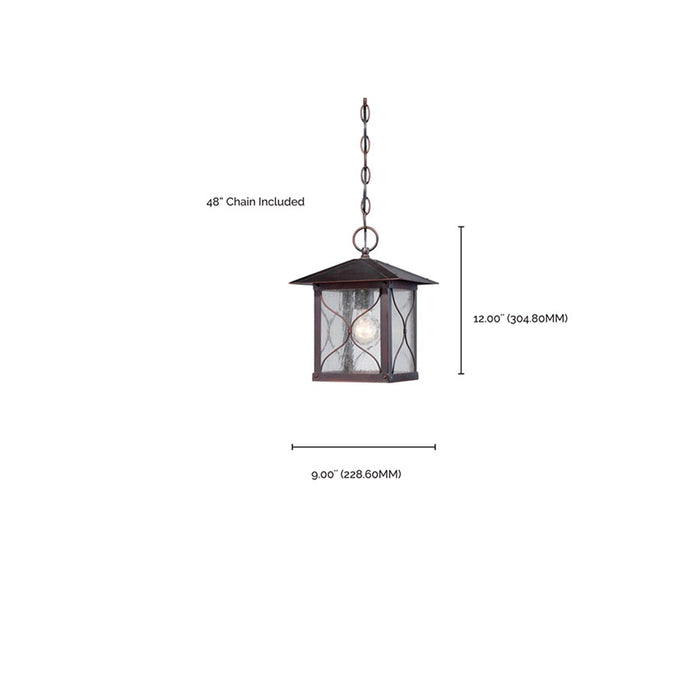 SATCO/NUVO Vega 1-Light Outdoor Hanging Fixture With Clear Seed Glass (60-5614)