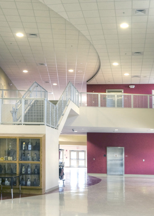 LED Downlights for Schools