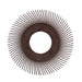 3M - 27621 Scotch-Brite Radial Bristle Brush Replacement Disc T-A 36 Refill 6 Inch (7100138292)