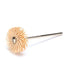 3M - 30001 Scotch-Brite Radial Bristle Disc 3/4 Inch X 1/16 Inch 6 Micron (7000000765)