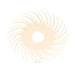 3M - 30097 Scotch-Brite Sr Radial Bristle Disc 2 Inch X 3/8 Inch (7000000770)