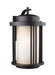 Generation Lighting Crowell Large One Light Outdoor Wall Mount Lantern (8847901-71)