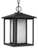 Generation Lighting Hunnington LED Outdoor Pendant 2700K (6902997S-12)