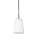 Generation Lighting Driscoll One Light Mini-Pendant (6140401-848)