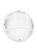 Generation Lighting Bayside One Light Outdoor Wall/Ceiling Mount (89807-15)